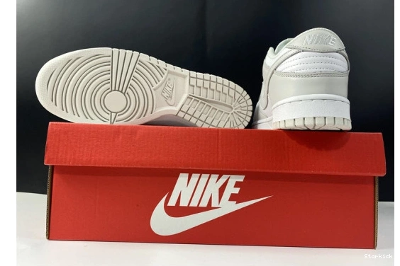 Dunk DD1503-103 "Photon Low Nike Dust" 1022